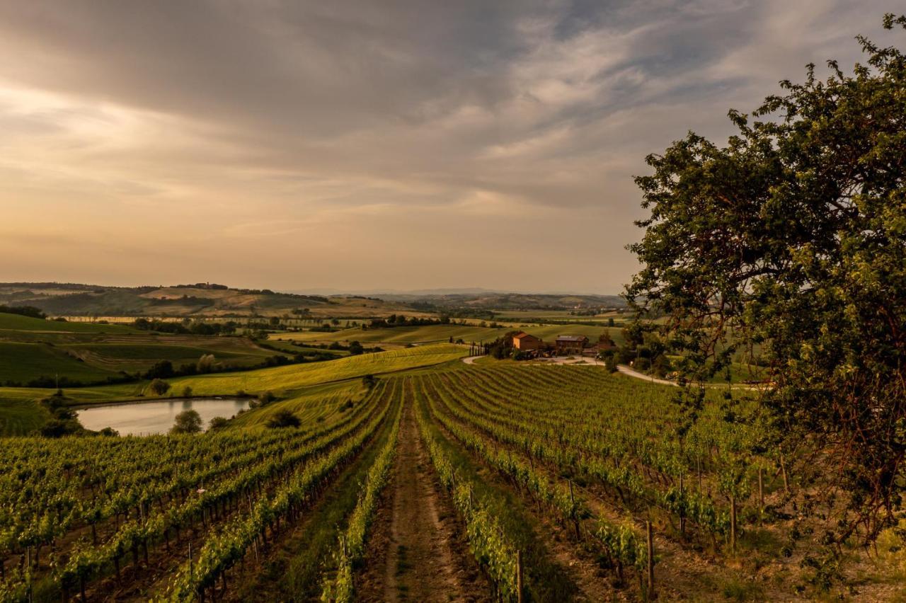 Wine Resort Colsereno Montalcino Exteriör bild