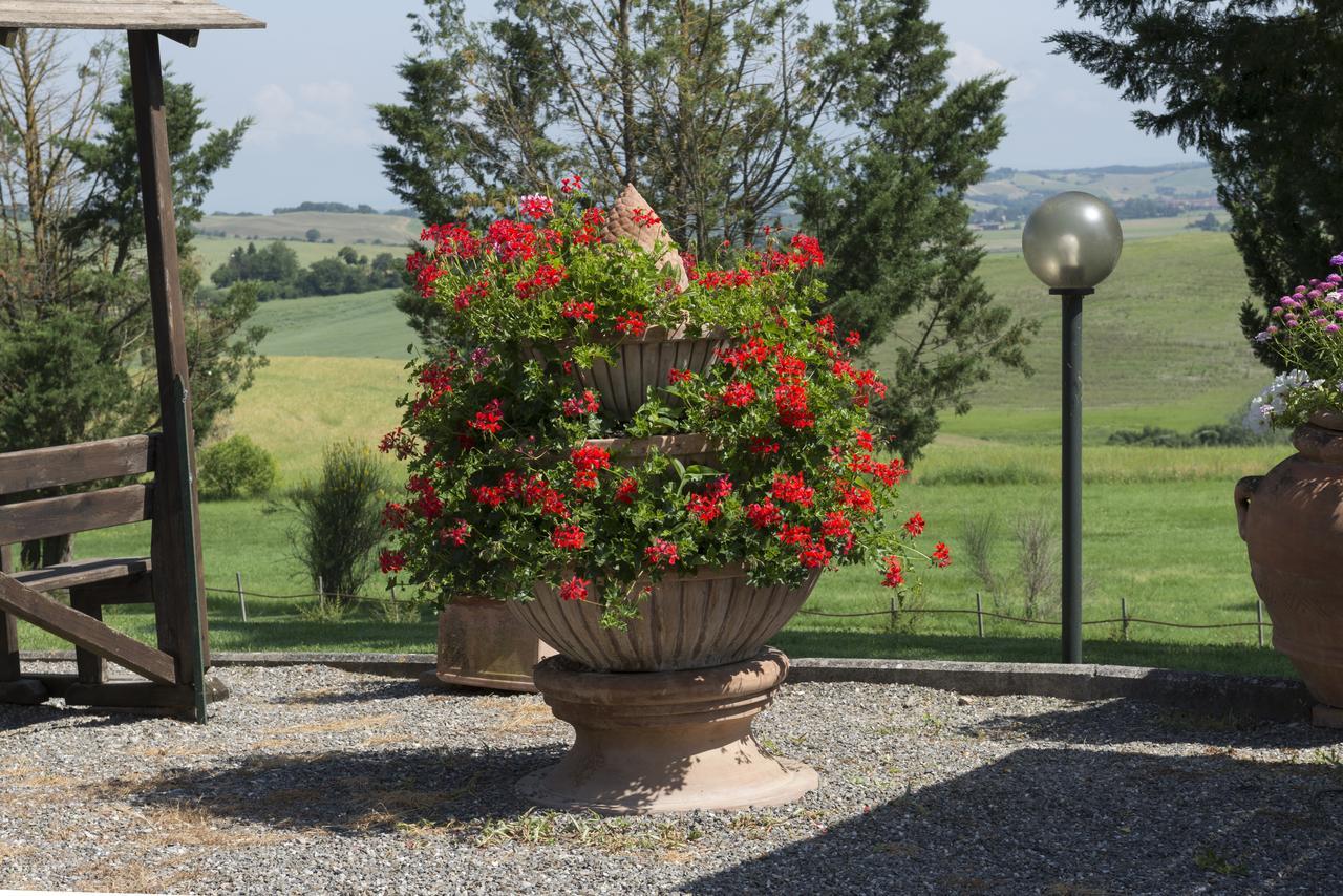 Wine Resort Colsereno Montalcino Exteriör bild
