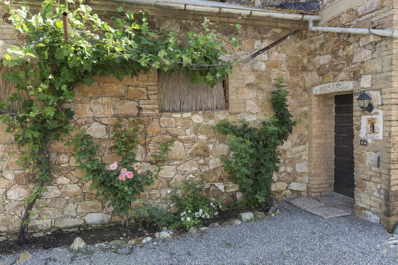 Wine Resort Colsereno Montalcino Exteriör bild